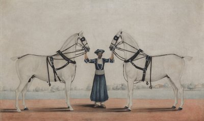 A Syce by Shaik Muhammad Amir of Karraya